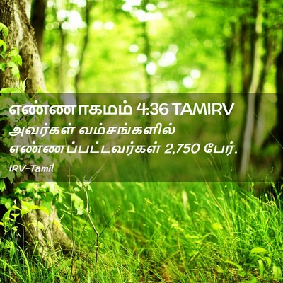 Picture 02 - எண்ணாகமம் 4:36 TAMIRV - அவர்கள் - Bible Verse Picture