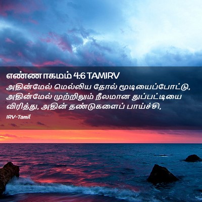 Picture 02 - எண்ணாகமம் 4:6 TAMIRV - அதின்மேல் மெல்லிய - Bible Verse Picture