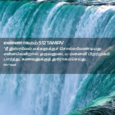 Picture 02 - எண்ணாகமம் 5:12 TAMIRV - “நீ இஸ்ரவேல் - Bible Verse Picture