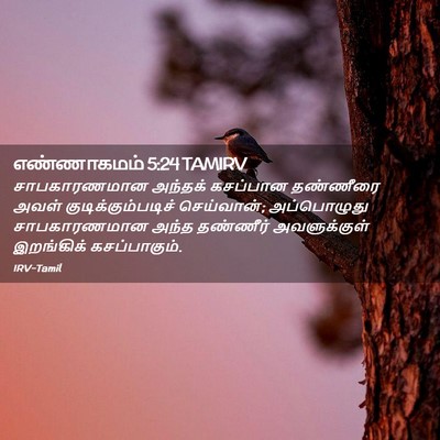 Picture 02 - எண்ணாகமம் 5:24 TAMIRV - சாபகாரணமான அந்தக் - Bible Verse Picture