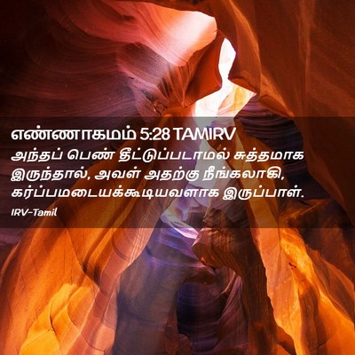 Picture 02 - எண்ணாகமம் 5:28 TAMIRV - அந்தப் பெண் - Bible Verse Picture