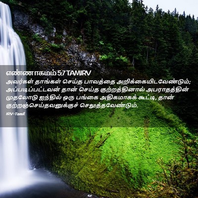 Picture 02 - எண்ணாகமம் 5:7 TAMIRV - அவர்கள் தாங்கள் - Bible Verse Picture