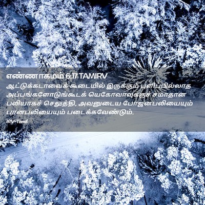 Picture 02 - எண்ணாகமம் 6:17 TAMIRV - ஆட்டுக்கடாவைக் - Bible Verse Picture
