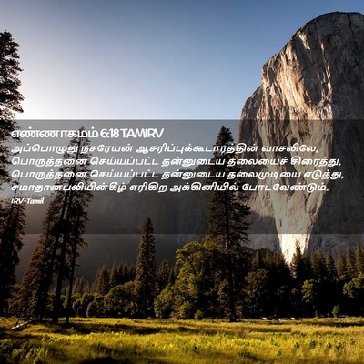 Picture 02 - எண்ணாகமம் 6:18 TAMIRV - அப்பொழுது நசரேயன் - Bible Verse Picture