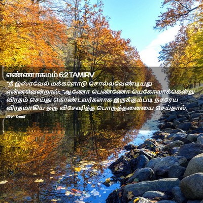 Picture 02 - எண்ணாகமம் 6:2 TAMIRV - “நீ இஸ்ரவேல் - Bible Verse Picture