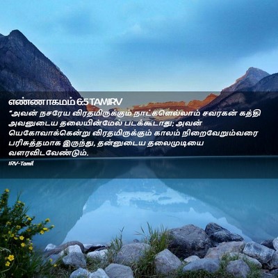 Picture 02 - எண்ணாகமம் 6:5 TAMIRV - “அவன் நசரேய - Bible Verse Picture