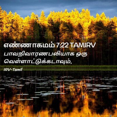 Picture 02 - எண்ணாகமம் 7:22 TAMIRV - பாவநிவாரணபலியாக - Bible Verse Picture