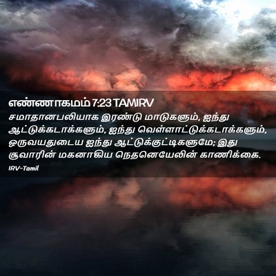 Picture 02 - எண்ணாகமம் 7:23 TAMIRV - சமாதானபலியாக - Bible Verse Picture