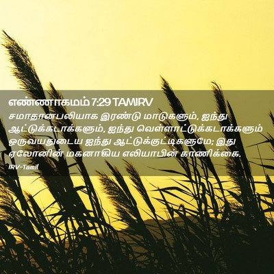 Picture 02 - எண்ணாகமம் 7:29 TAMIRV - சமாதானபலியாக - Bible Verse Picture