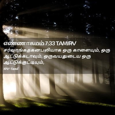 Picture 02 - எண்ணாகமம் 7:33 TAMIRV -  - Bible Verse Picture