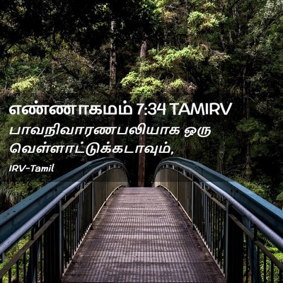 Picture 02 - எண்ணாகமம் 7:34 TAMIRV - பாவநிவாரணபலியாக - Bible Verse Picture