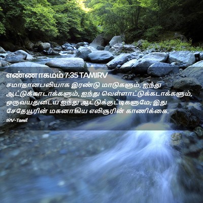 Picture 02 - எண்ணாகமம் 7:35 TAMIRV - சமாதானபலியாக - Bible Verse Picture