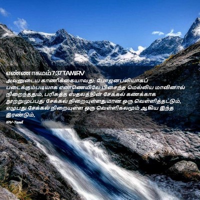 Picture 02 - எண்ணாகமம் 7:37 TAMIRV - அவனுடைய - Bible Verse Picture