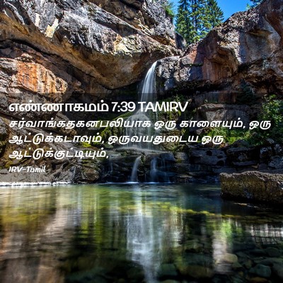 Picture 02 - எண்ணாகமம் 7:39 TAMIRV -  - Bible Verse Picture
