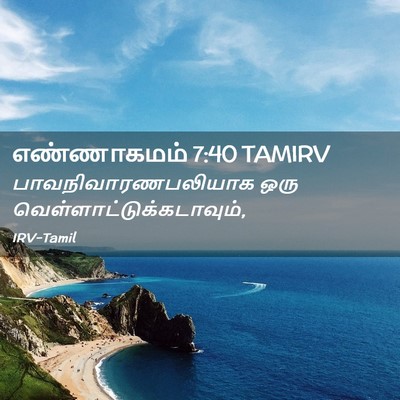 Picture 02 - எண்ணாகமம் 7:40 TAMIRV - பாவநிவாரணபலியாக - Bible Verse Picture