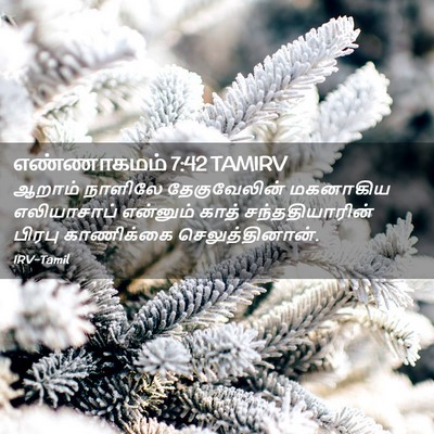Picture 02 - எண்ணாகமம் 7:42 TAMIRV - ஆறாம் நாளிலே - Bible Verse Picture