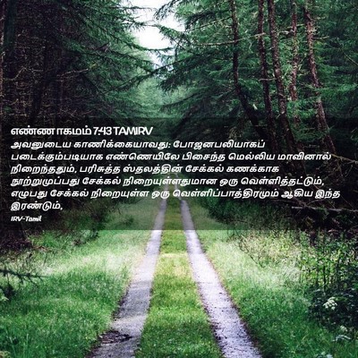Picture 02 - எண்ணாகமம் 7:43 TAMIRV - அவனுடைய - Bible Verse Picture