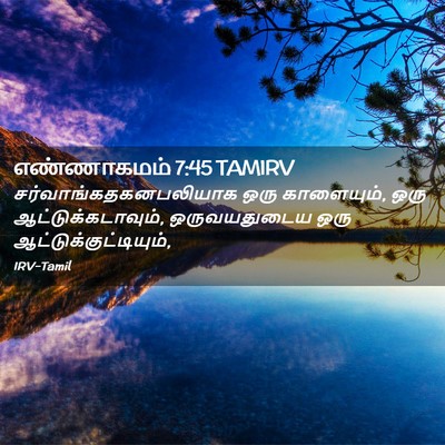 Picture 02 - எண்ணாகமம் 7:45 TAMIRV -  - Bible Verse Picture