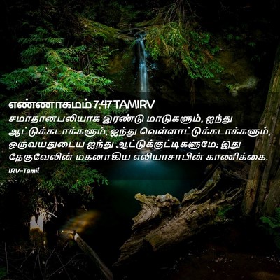 Picture 02 - எண்ணாகமம் 7:47 TAMIRV - சமாதானபலியாக - Bible Verse Picture