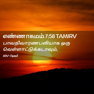 Picture 02 - எண்ணாகமம் 7:58 TAMIRV - பாவநிவாரணபலியாக - Bible Verse Picture