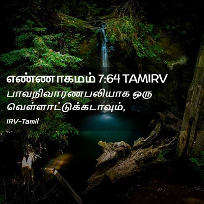 Picture 02 - எண்ணாகமம் 7:64 TAMIRV - பாவநிவாரணபலியாக - Bible Verse Picture
