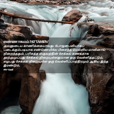 Picture 02 - எண்ணாகமம் 7:67 TAMIRV - அவனுடைய - Bible Verse Picture