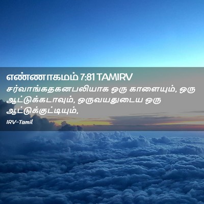 Picture 02 - எண்ணாகமம் 7:81 TAMIRV -  - Bible Verse Picture