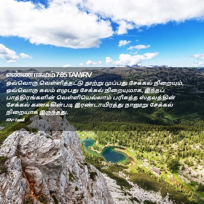 Picture 02 - எண்ணாகமம் 7:85 TAMIRV - ஒவ்வொரு - Bible Verse Picture