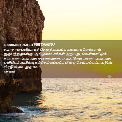Picture 02 - எண்ணாகமம் 7:88 TAMIRV - சமாதானபலியாகச் - Bible Verse Picture