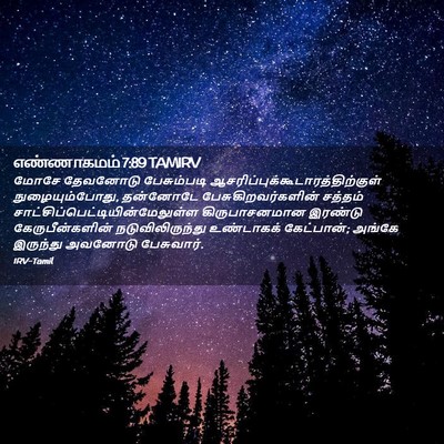 Picture 02 - எண்ணாகமம் 7:89 TAMIRV - மோசே தேவனோடு - Bible Verse Picture