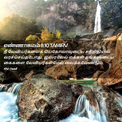 Picture 02 - எண்ணாகமம் 8:10 TAMIRV - நீ லேவியர்களைக் - Bible Verse Picture
