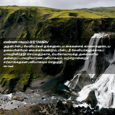 Picture 02 - எண்ணாகமம் 8:12 TAMIRV - அதன்பின்பு - Bible Verse Picture