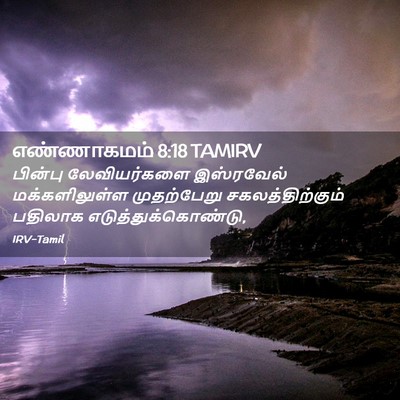 Picture 02 - எண்ணாகமம் 8:18 TAMIRV - பின்பு லேவியர்களை - Bible Verse Picture