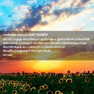 Picture 02 - எண்ணாகமம் 8:20 TAMIRV - அப்பொழுது - Bible Verse Picture