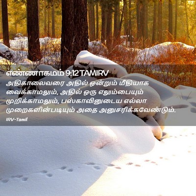 Picture 02 - எண்ணாகமம் 9:12 TAMIRV - அதிகாலைவரை அதில் - Bible Verse Picture