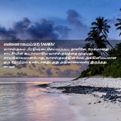Picture 02 - எண்ணாகமம் 9:15 TAMIRV - வாசஸ்தலம் - Bible Verse Picture