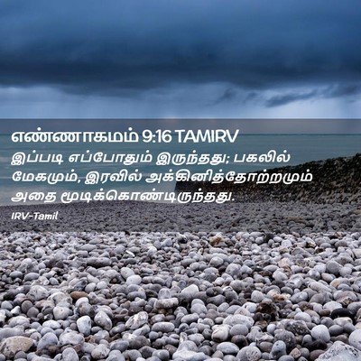 Picture 02 - எண்ணாகமம் 9:16 TAMIRV - இப்படி எப்போதும் - Bible Verse Picture