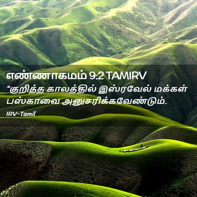 Picture 02 - எண்ணாகமம் 9:2 TAMIRV - “குறித்த - Bible Verse Picture