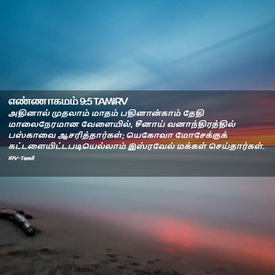 Picture 02 - எண்ணாகமம் 9:5 TAMIRV - அதினால் முதலாம் - Bible Verse Picture