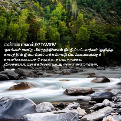Picture 02 - எண்ணாகமம் 9:7 TAMIRV - “நாங்கள் மனித - Bible Verse Picture