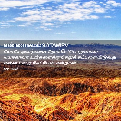 Picture 02 - எண்ணாகமம் 9:8 TAMIRV - மோசே அவர்களை - Bible Verse Picture