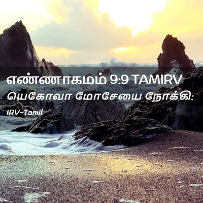 Picture 02 - எண்ணாகமம் 9:9 TAMIRV - யெகோவா மோசேயை - Bible Verse Picture