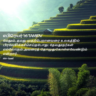 Picture 02 - எபிரெயர் 1:6 TAMIRV - மேலும், தமது - Bible Verse Picture