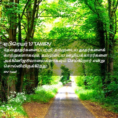 Picture 02 - எபிரெயர் 1:7 TAMIRV -  - Bible Verse Picture