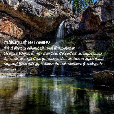 Picture 02 - எபிரெயர் 1:9 TAMIRV - நீர் நீதியை - Bible Verse Picture