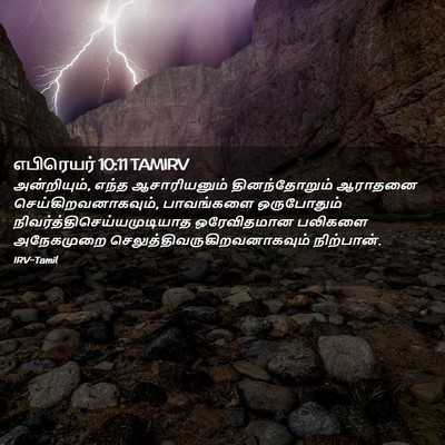 Picture 02 - எபிரெயர் 10:11 TAMIRV - அன்றியும், எந்த - Bible Verse Picture