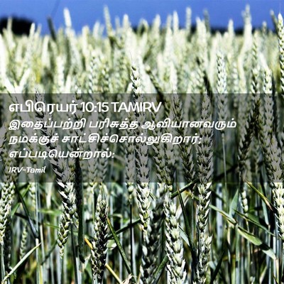 Picture 02 - எபிரெயர் 10:15 TAMIRV - இதைப்பற்றி - Bible Verse Picture