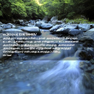 Picture 02 - எபிரெயர் 10:16 TAMIRV - அந்த - Bible Verse Picture