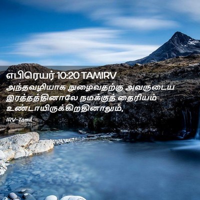 Picture 02 - எபிரெயர் 10:20 TAMIRV - அந்தவழியாக - Bible Verse Picture