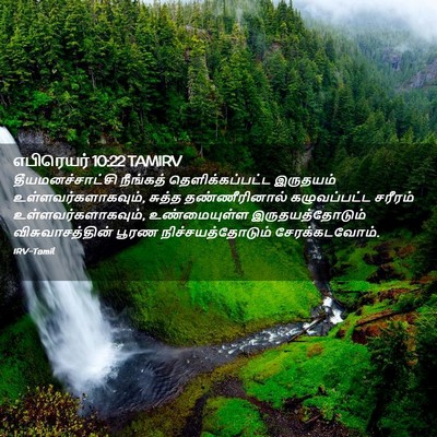 Picture 02 - எபிரெயர் 10:22 TAMIRV - தீயமனச்சாட்சி - Bible Verse Picture